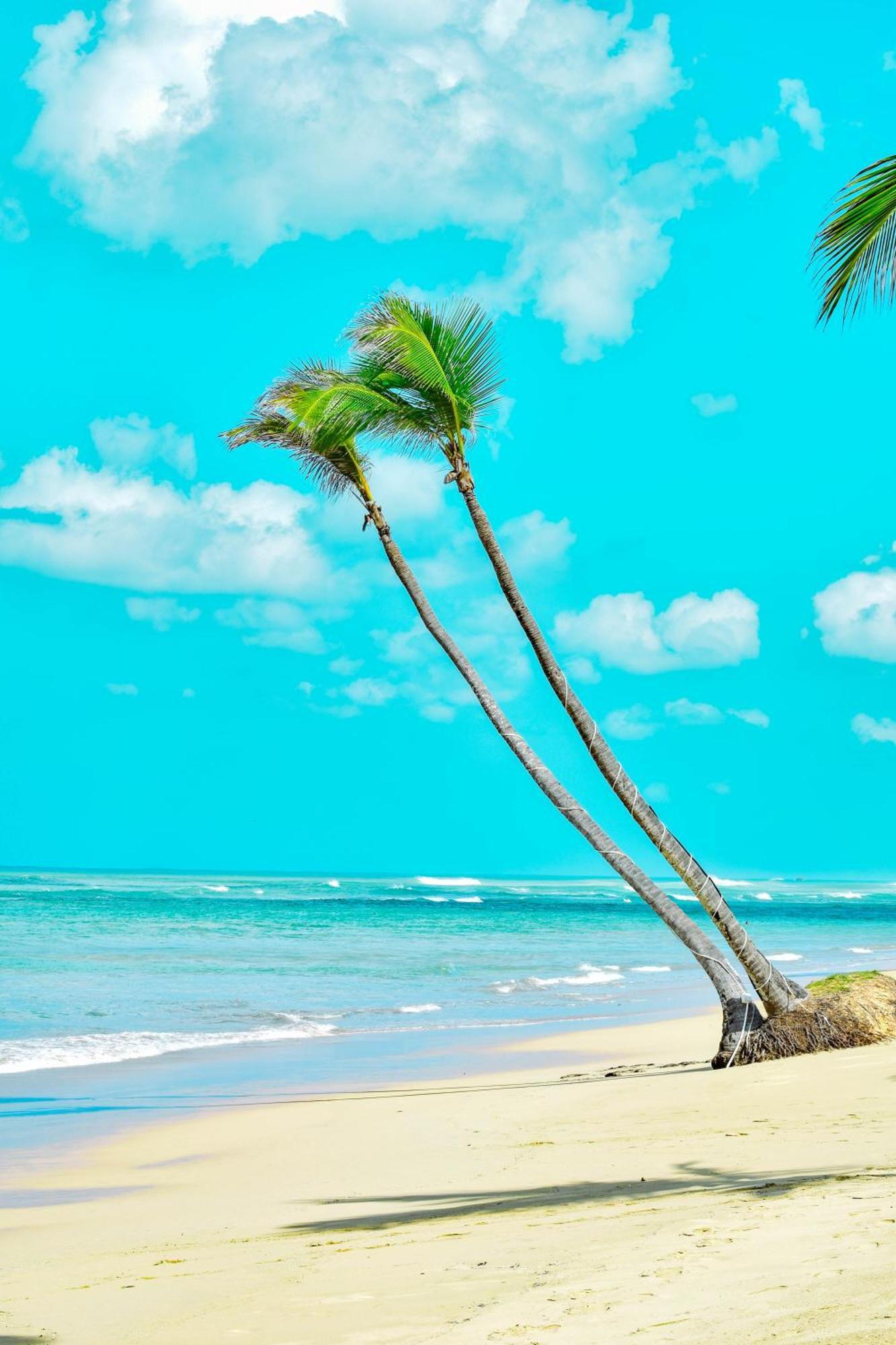 Playa Palmera Beach Resort Punta Cana Exteriör bild